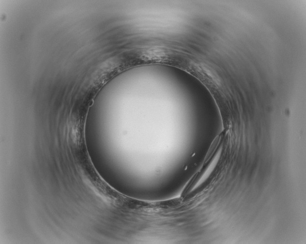 X0000089430408200706291319