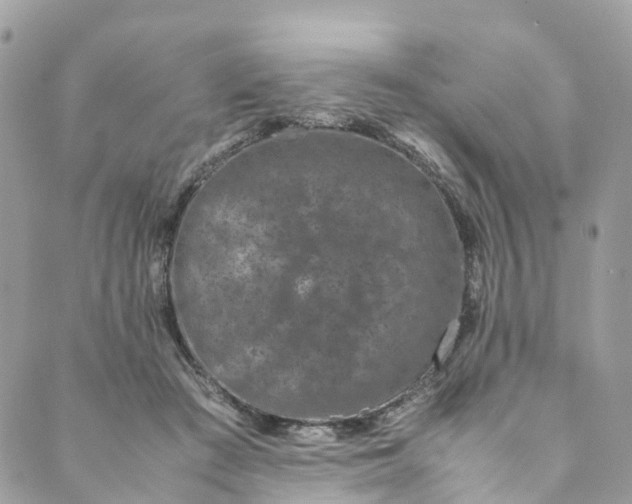 X0000089430409200706291319