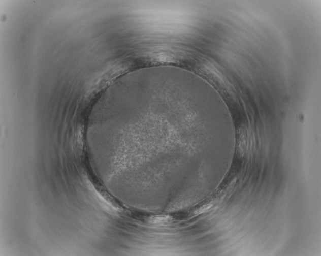 X0000089430410200706291319