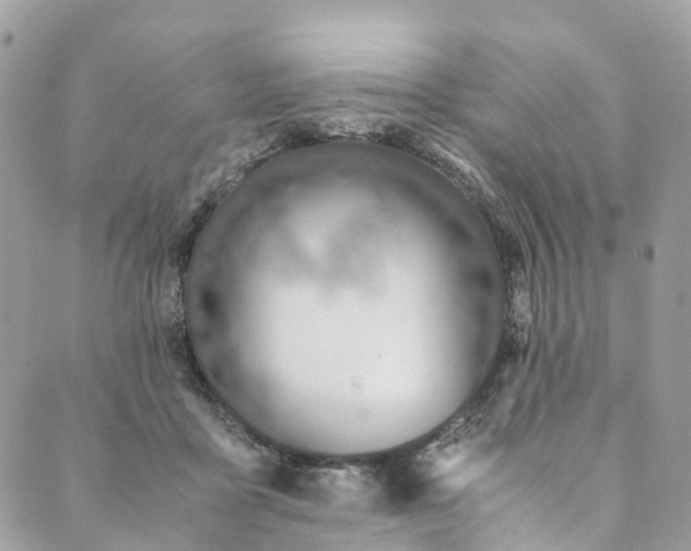 X0000089430411200706291319