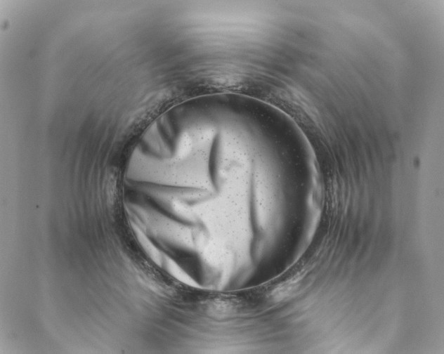 X0000089430412200706291319