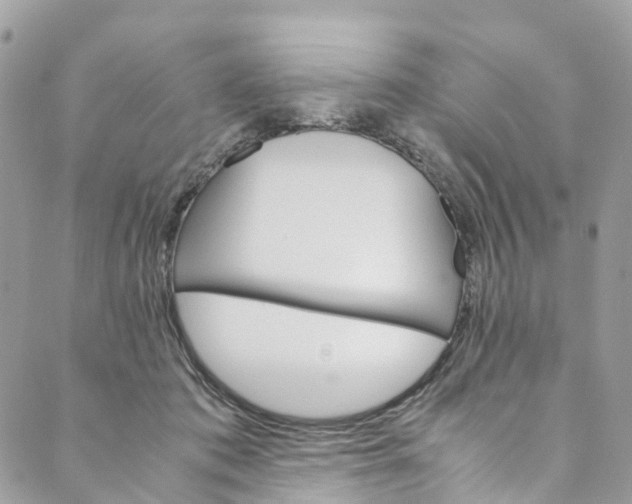 X0000089430413200706291319