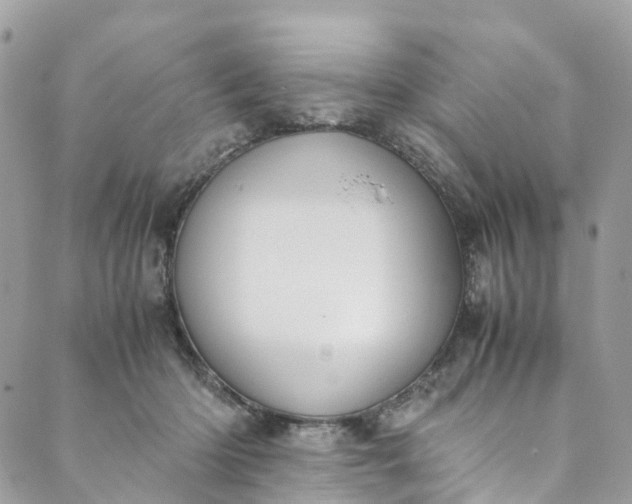 X0000089430414200706291319