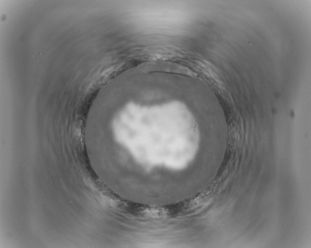 X0000089430415200706291319