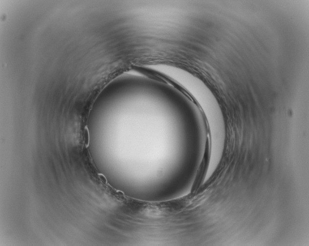 X0000089430416200706291319