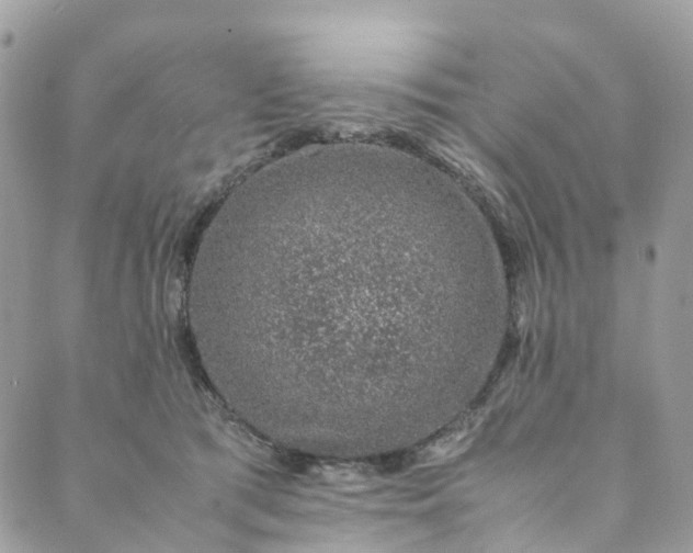 X0000089430417200706291319