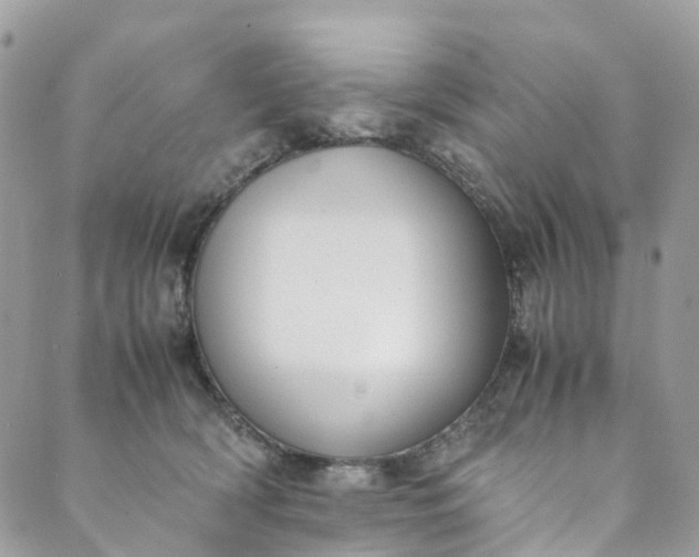 X0000089430418200706291319