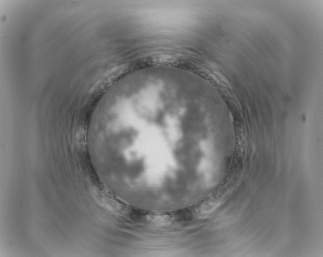 X0000089430419200706291319