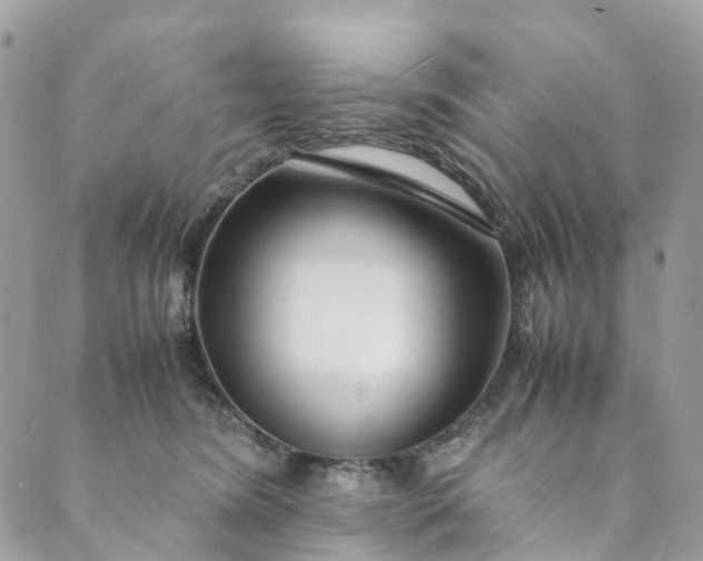 X0000089430420200706291319