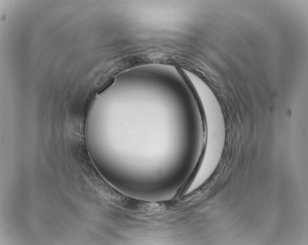 X0000089430421200706291319