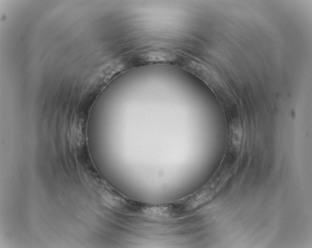 X0000089430422200706291319