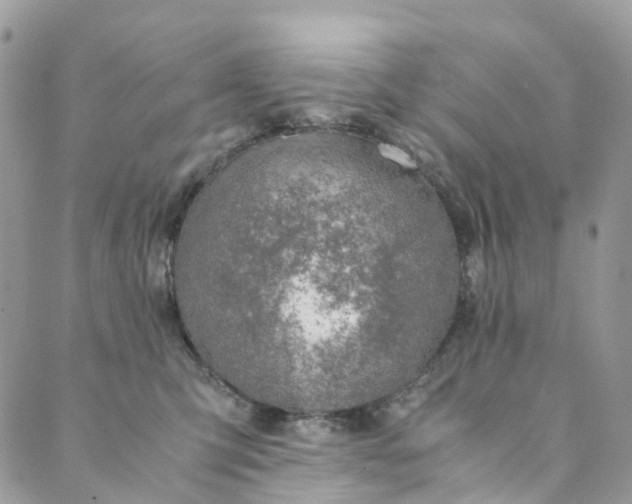 X0000089430423200706291319