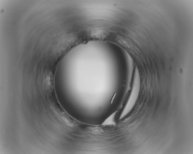 X0000089430424200706291319