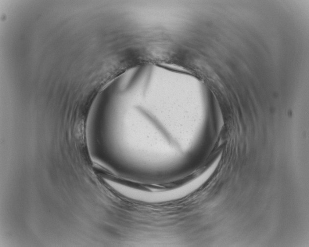 X0000089430425200706291319