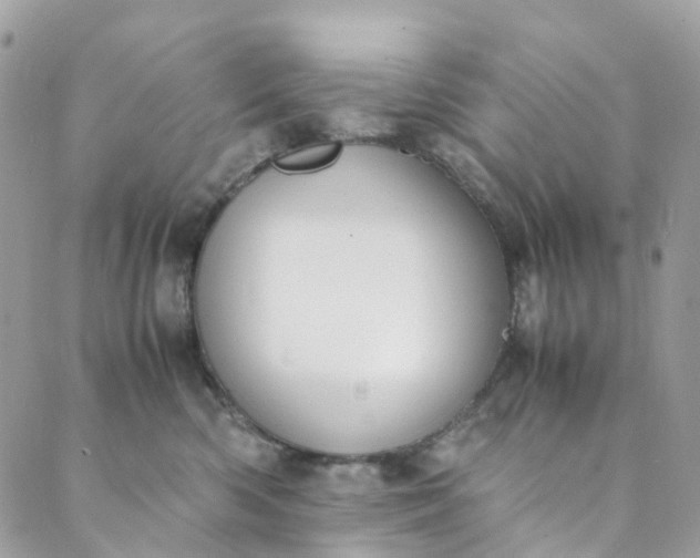 X0000089430426200706291319