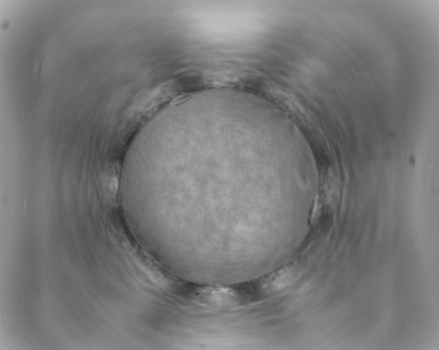 X0000089430427200706291319