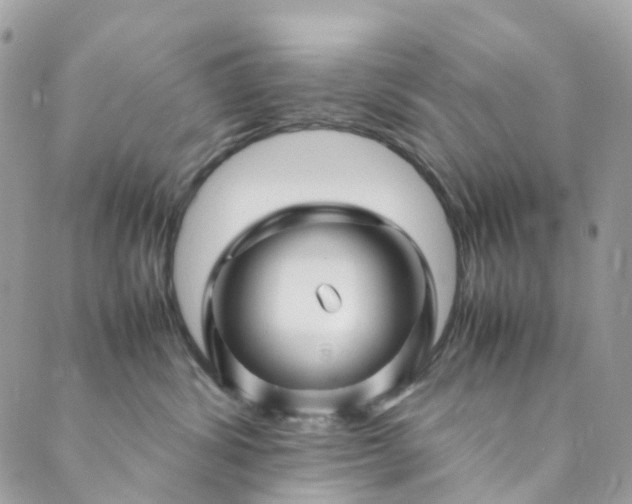 X0000089430428200706291319