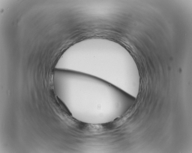 X0000089430429200706291319