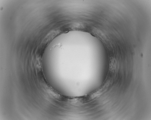 X0000089430430200706291319