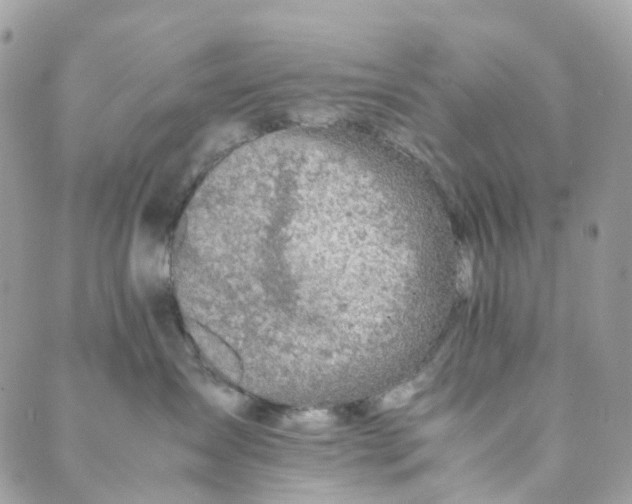 X0000089430431200706291319