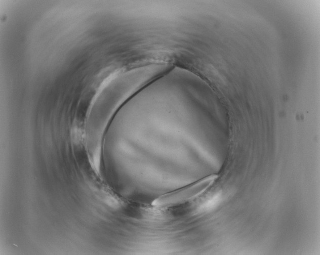 X0000089430432200706291319