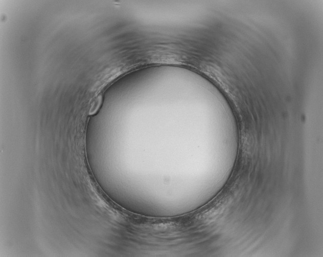 X0000089430433200706291318