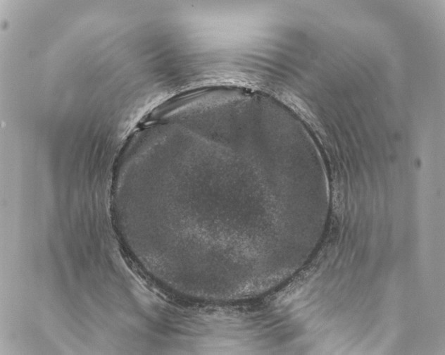 X0000089430434200706291318