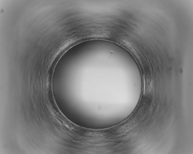 X0000089430435200706291318