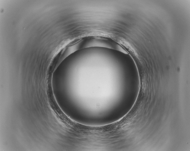 X0000089430436200706291318