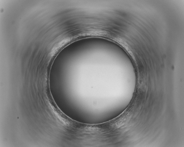 X0000089430437200706291318