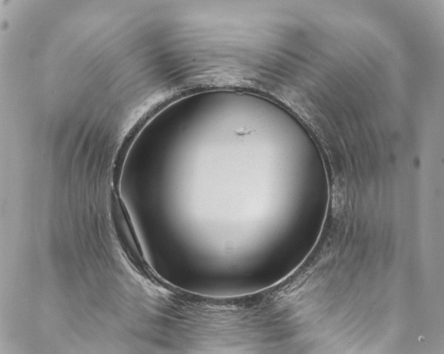 X0000089430438200706291318