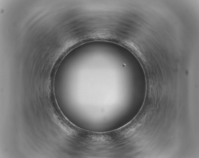 X0000089430439200706291318