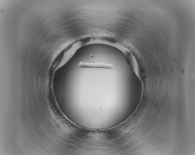 X0000089430440200706291318