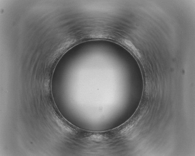 X0000089430441200706291318