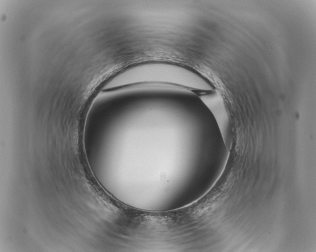 X0000089430442200706291318