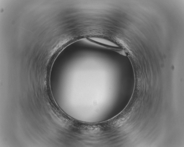 X0000089430443200706291318