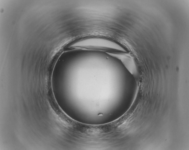 X0000089430444200706291318