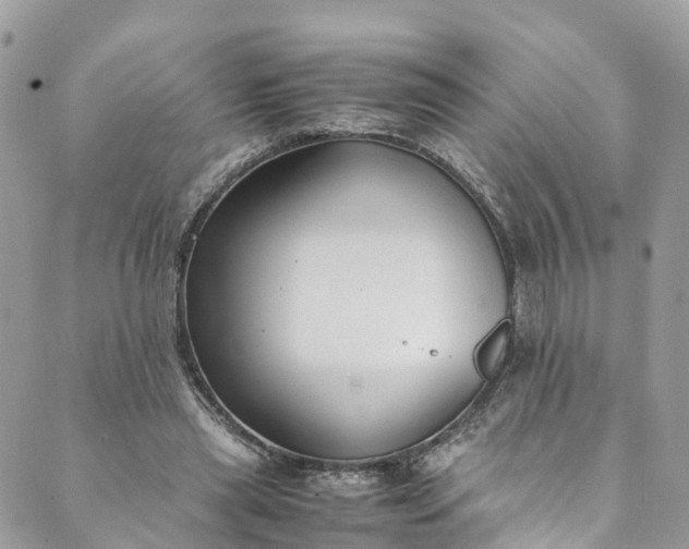 X0000089430445200706291318