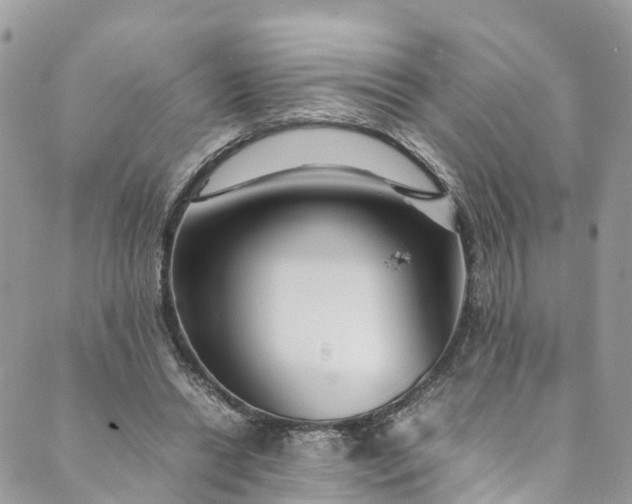 X0000089430446200706291318