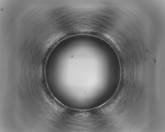 X0000089430447200706291318