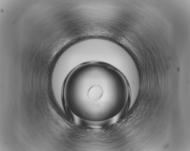 X0000089430448200706291318