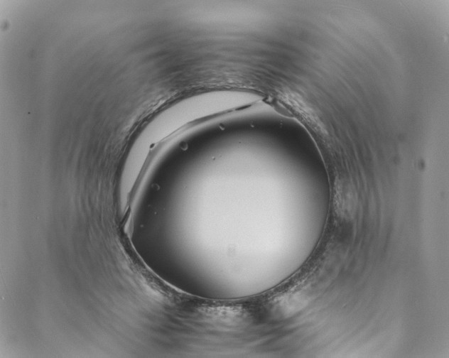 X0000089430449200706291318