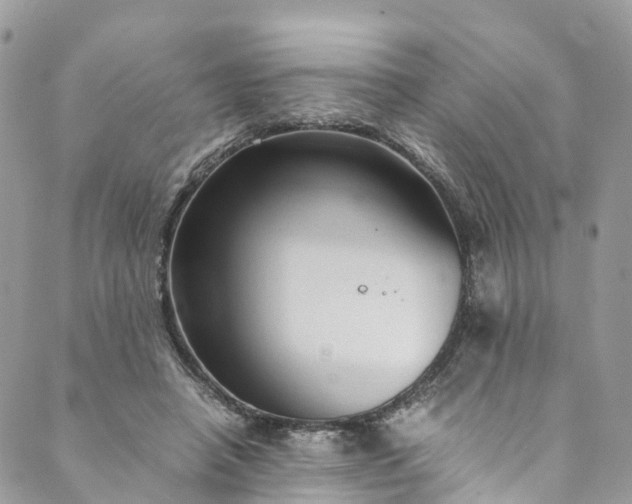 X0000089430450200706291318