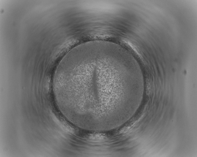 X0000089430451200706291318