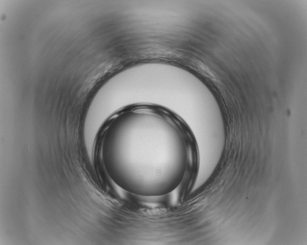 X0000089430452200706291318