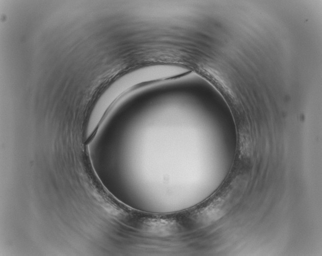 X0000089430453200706291318