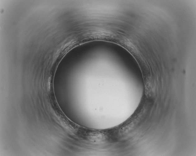 X0000089430454200706291318