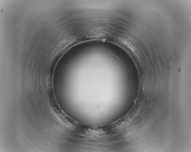 X0000089430455200706291318