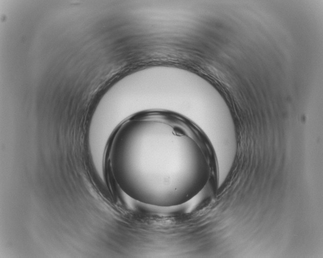 X0000089430456200706291318