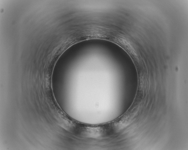 X0000089430457200706291318